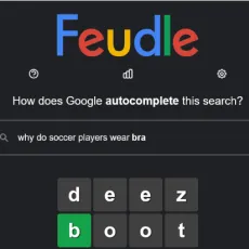 Play Feudle game