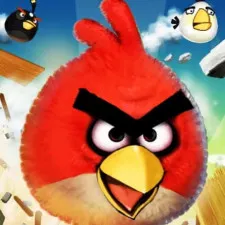 crazy-birds