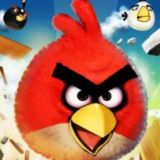 Play Crazy Birds game