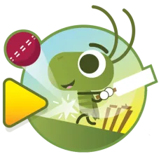 Play Doodle Cricket game