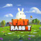 Fat Rabbit