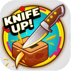 Play Knife Up 3D game