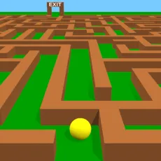 Play Maze Game 3D game