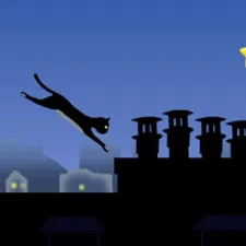 mr-speedy-the-cat