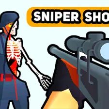 sniper-shot-bullet-time