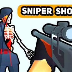 Play Sniper Shot: Bullet Time game